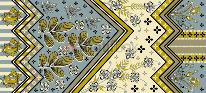 floral design with saree border